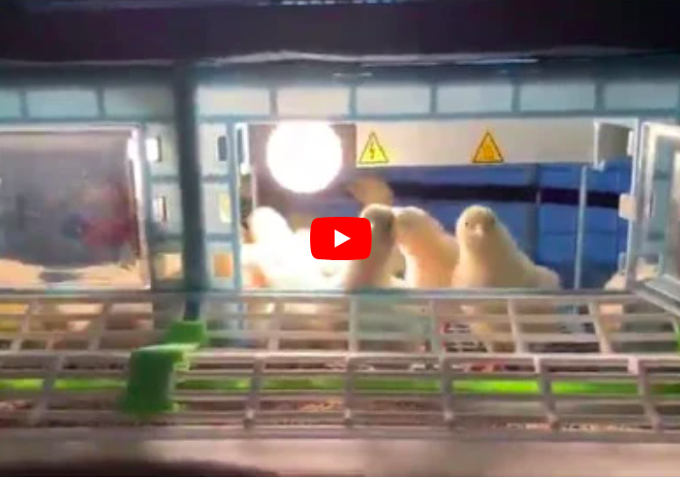 Snímka obrazovky 2026-03-16 o 20.11.58